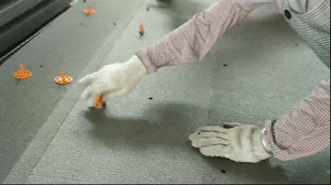 555.gif